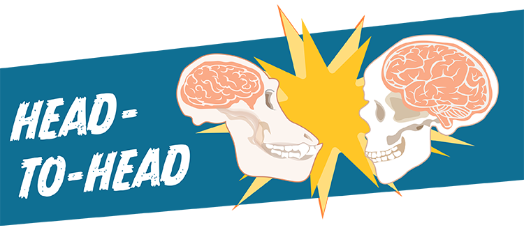 Compare the size if primate brains in this activity!