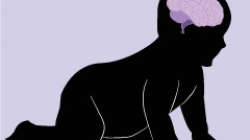 Do humans have big brains? image