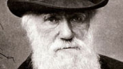 Photo of Darwin