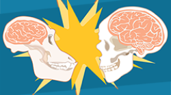 Compare the size if primate brains in this activity!