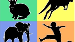 Early human history: Who are you? illustration